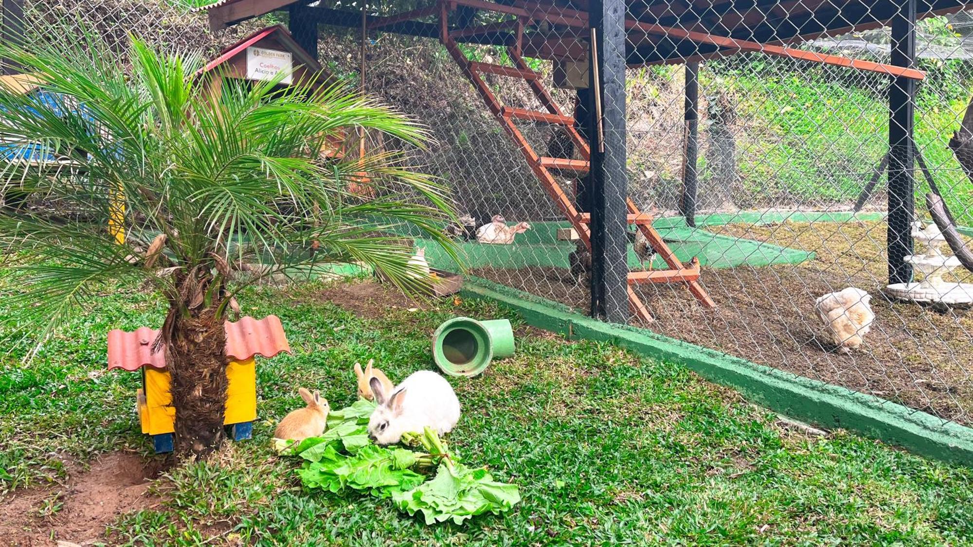 Hotel Fazenda Golden Park Campos do Jordão 外观 照片